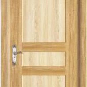 Dark and Light Shade Wooden Door