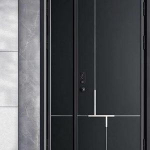 Dark Grey Security Door