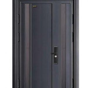 Modern style Security Door